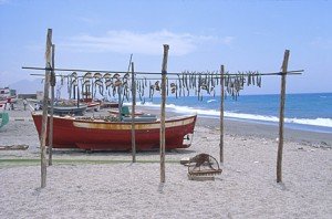 Almería - Playa San miguel